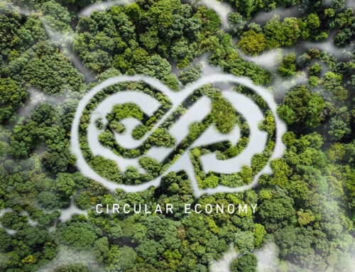 Exploring the Benefits of a Circular Economy